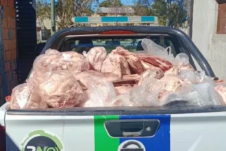 Decomiso de carne y derivados en Catriel. En 25 de Mayo más de 1000 kilos de carne de caballo