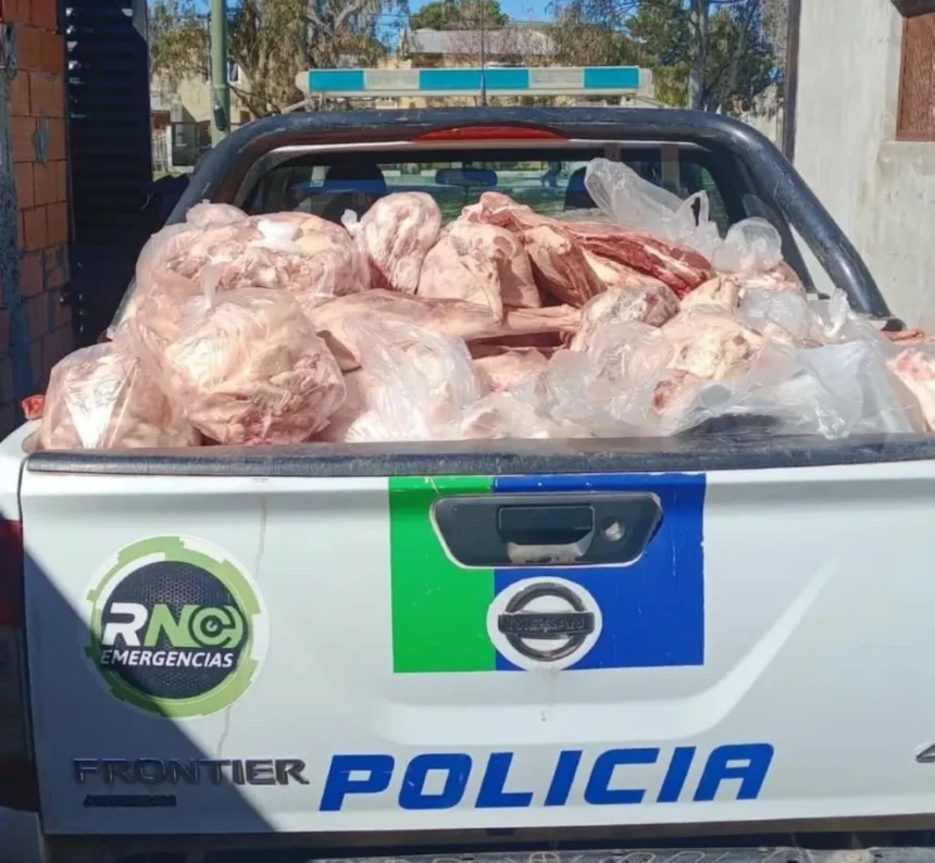 Decomiso de carne y derivados en Catriel. En 25 de Mayo más de 1000 kilos de carne de caballo