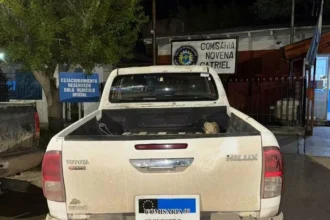 Catriel: tenía orden de captura y circulaba en camioneta con pedido de secuestro