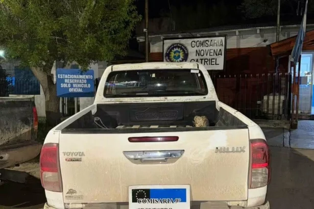 Catriel: tenía orden de captura y circulaba en camioneta con pedido de secuestro