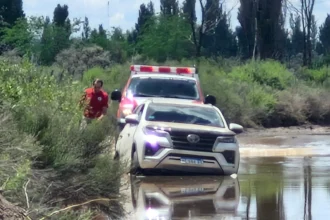 Apareció en Colonia Ovejero la camioneta robada durante la madrugada en barrio Carod
